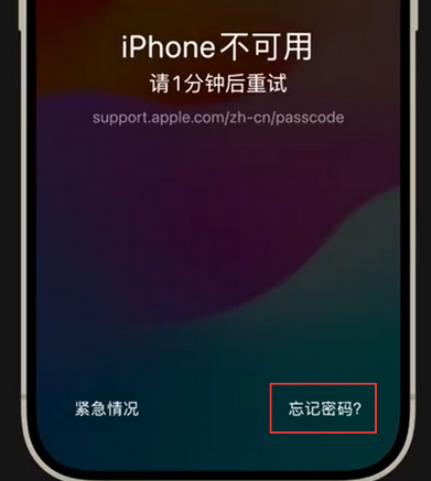 提蒙乡苹果手机密码维修分享iPhone忘记了刚设置的密码 